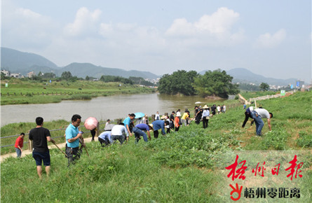 清理農(nóng)作物保護水源地 