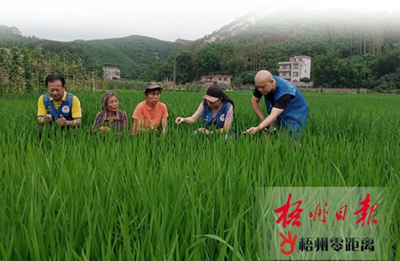 持之以恒，決戰脫貧攻堅