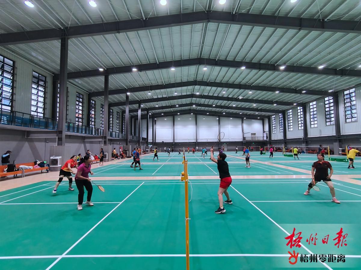 新球場開放體驗