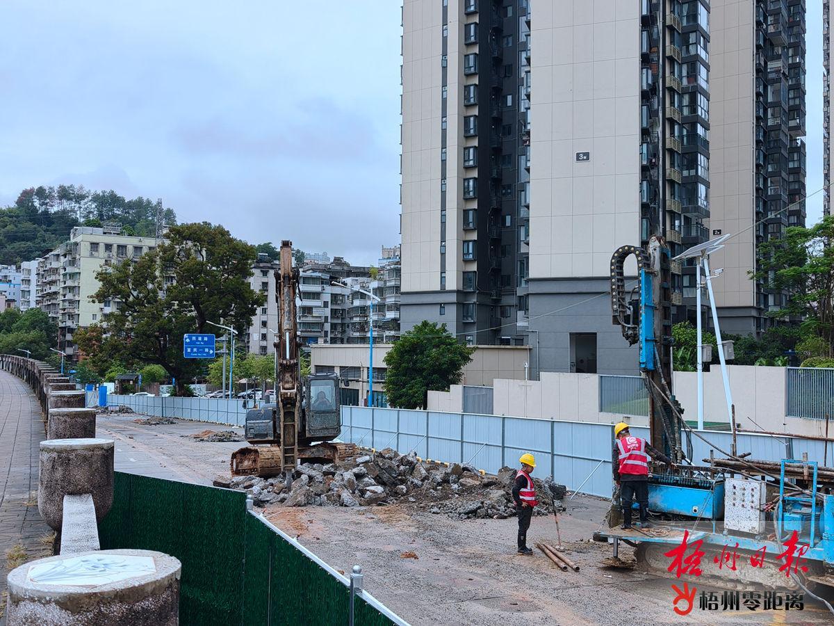 蒼海大道煥新貌